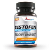 WestPharm Testofen - Тестофен 60 капс по 500 мг