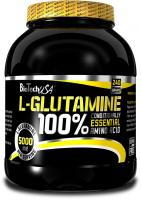 Biotech 100% L-GLUTAMINE - глютамин  USA  240g